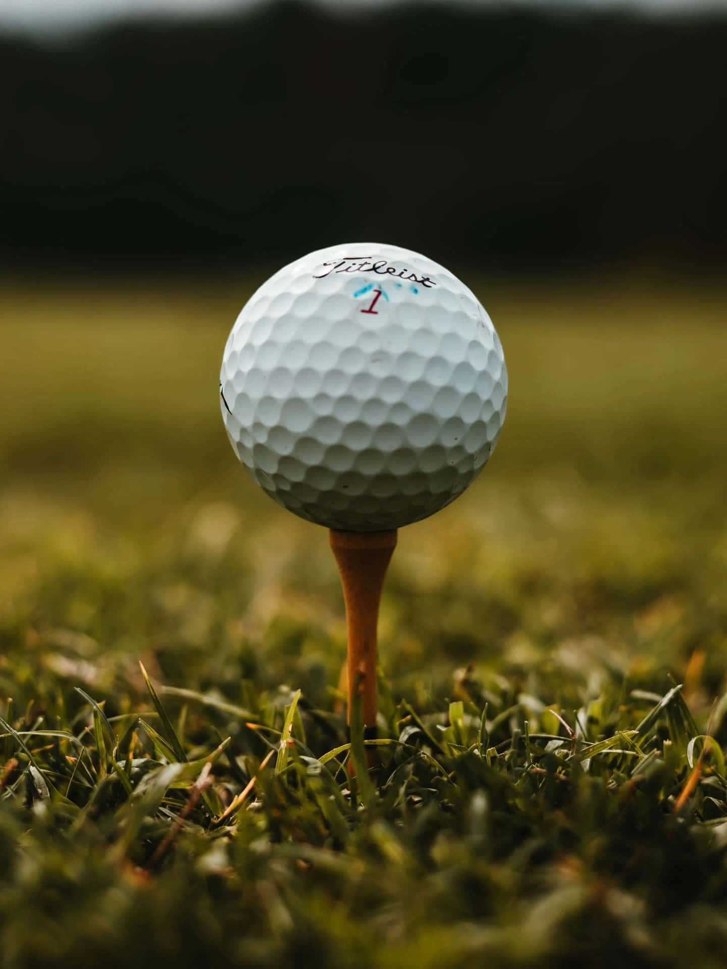 Funny Golf Ball Close-up Picture