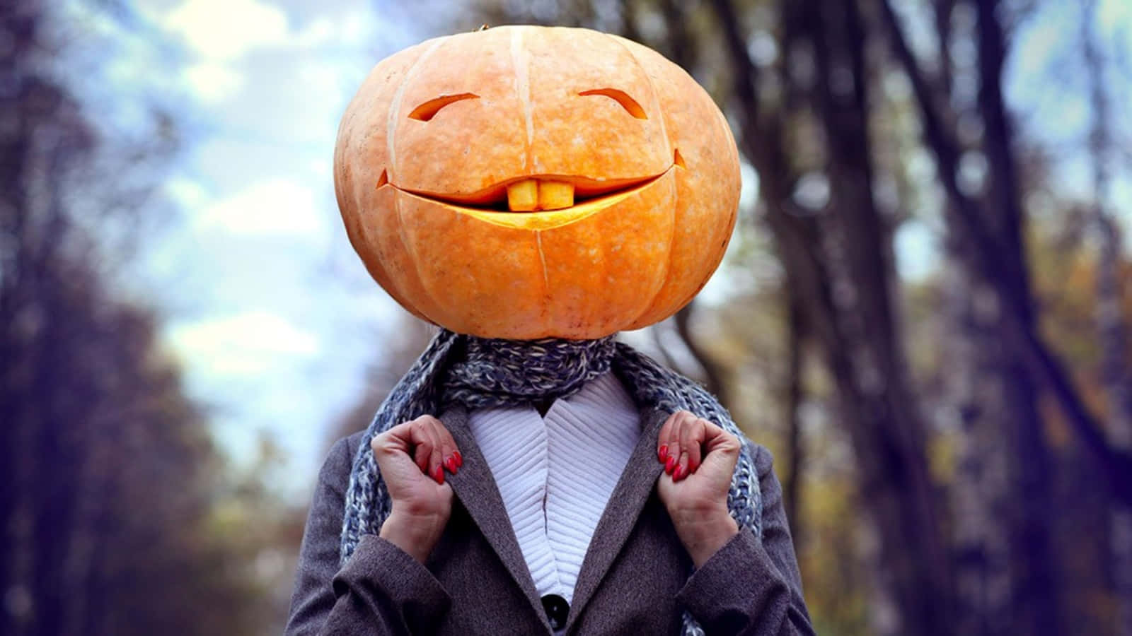 Sjove Halloween Menneske Græskar Billeder
