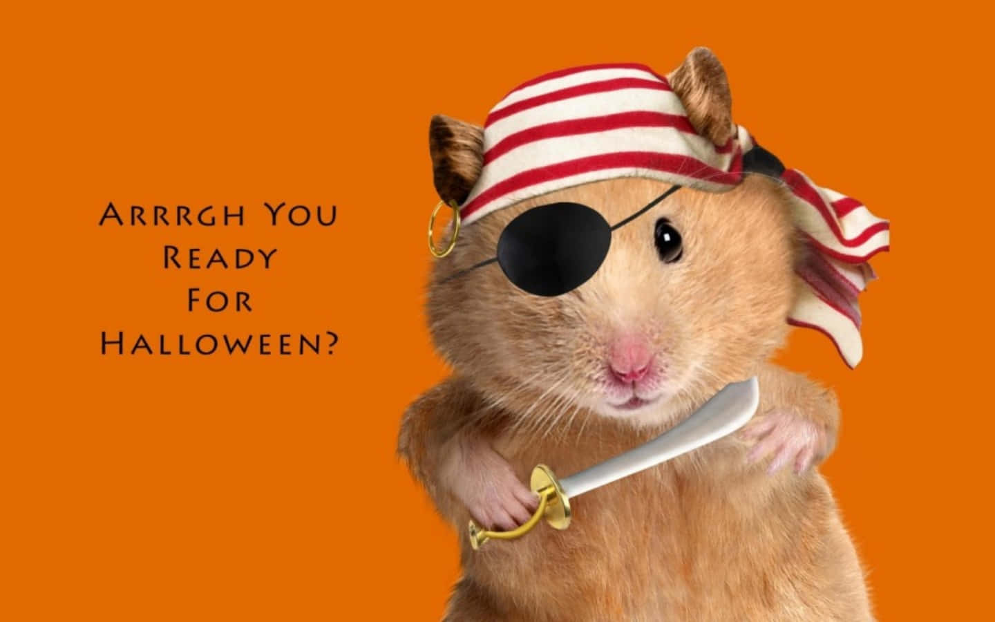 Funny Halloween Hamster Pictures