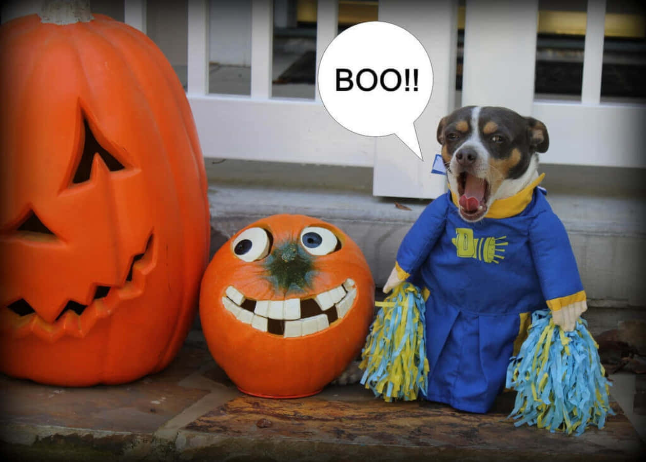 Sjov Halloween Charmerende Hundebilleder Tapet