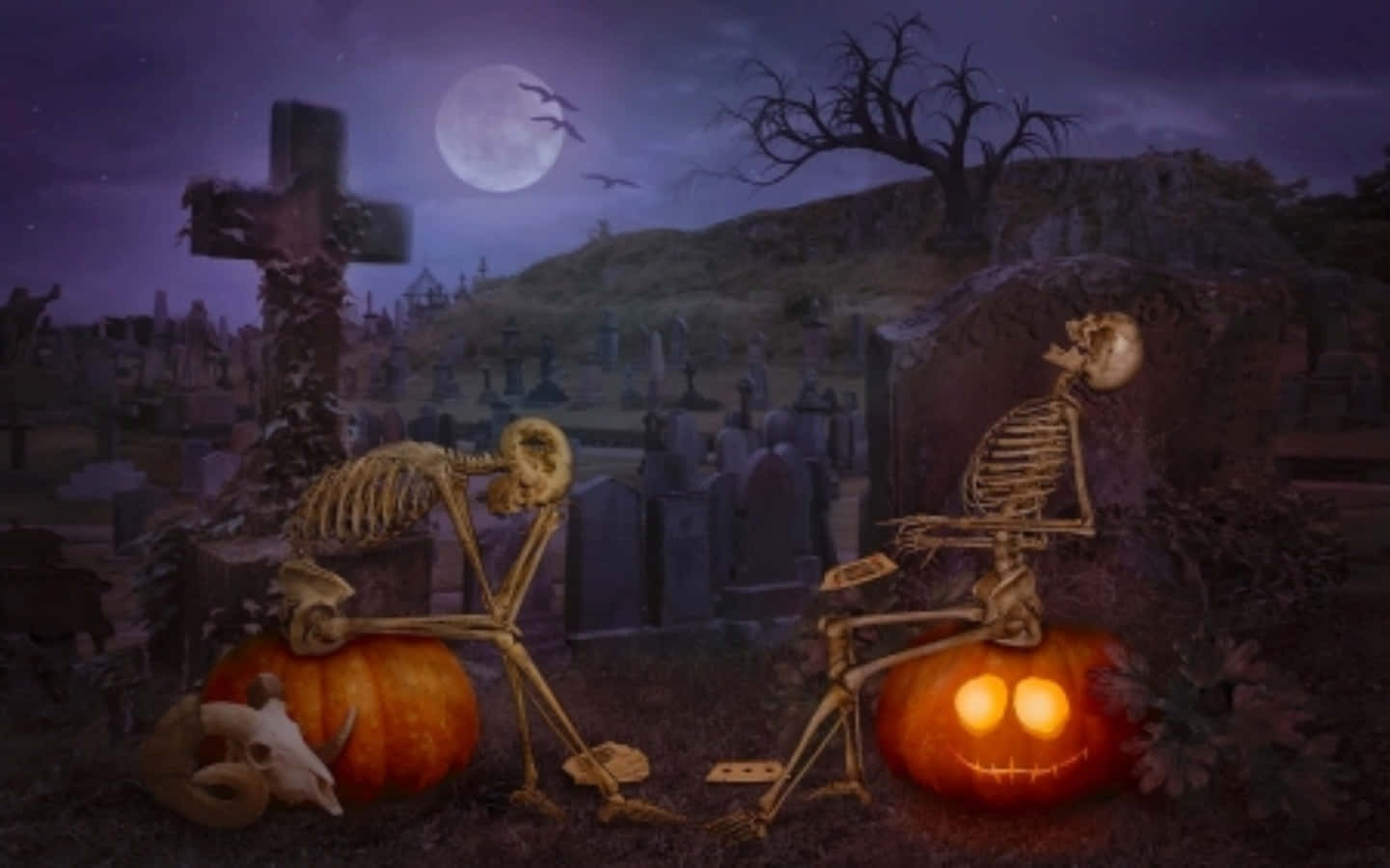 Funny Halloween Skeleton Pictures
