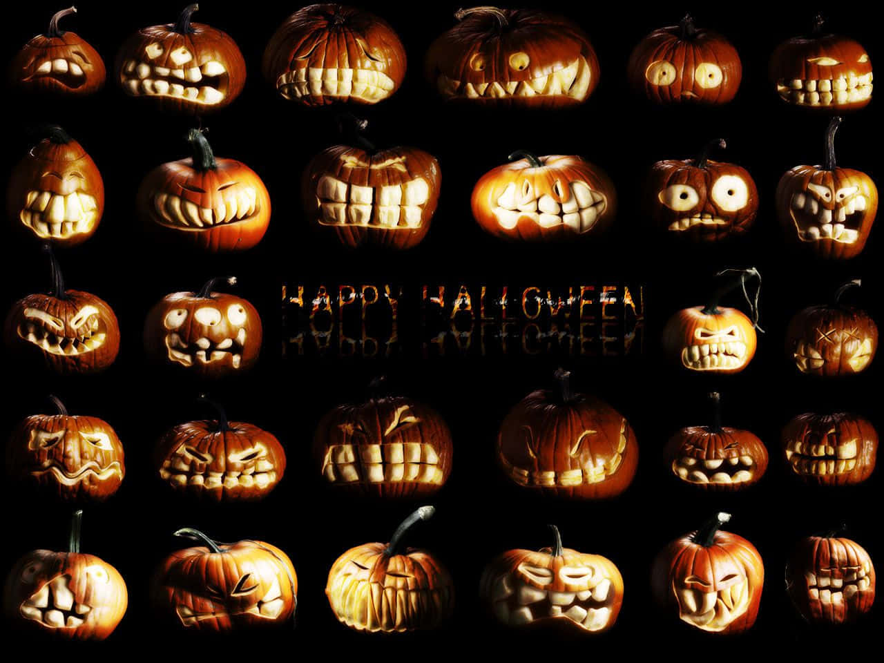 Trick or Treat! The perfect way to celebrate Halloween this year! Wallpaper