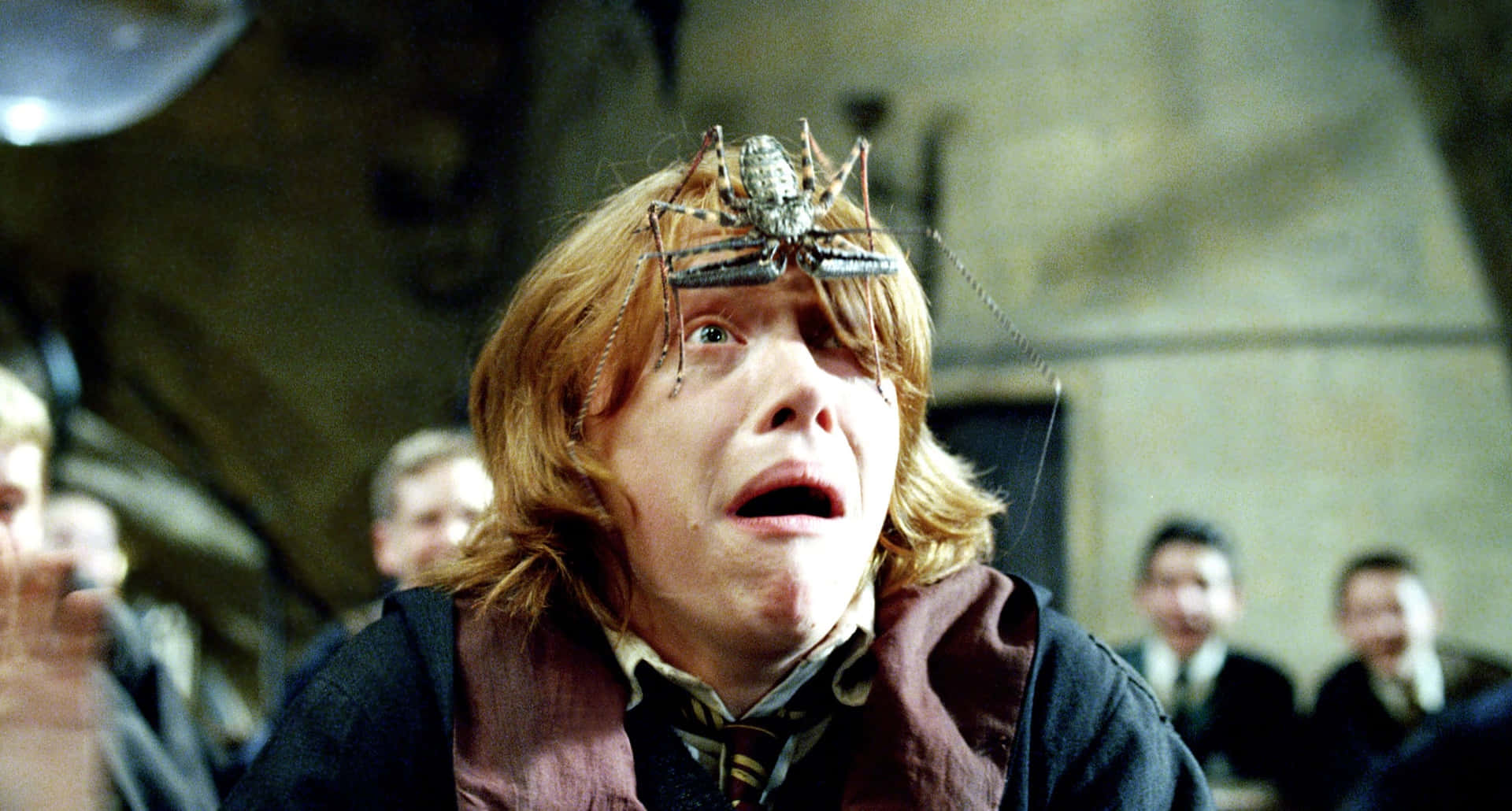 Funny Harry Potter Ron Weasley With Spider Picture