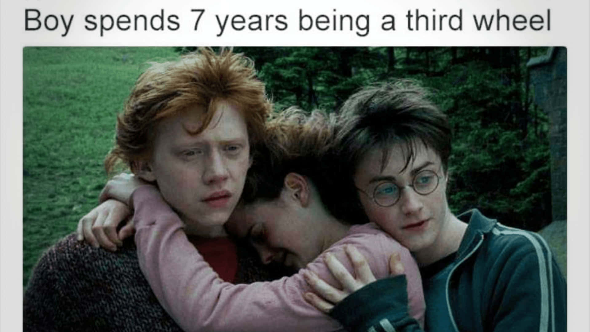 Funny Harry Potter Meme Trio Hugging Picture