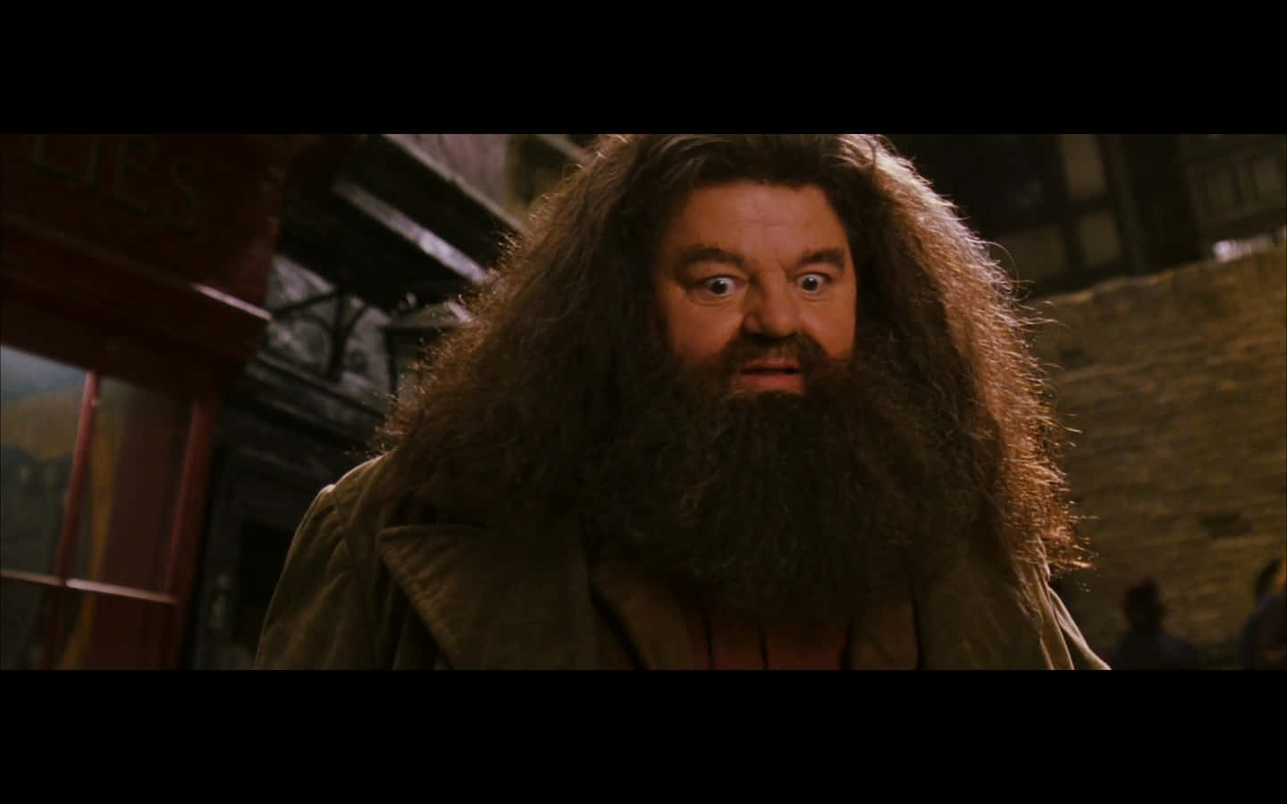 Funny Harry Potter Hagrid Funny Face Picture