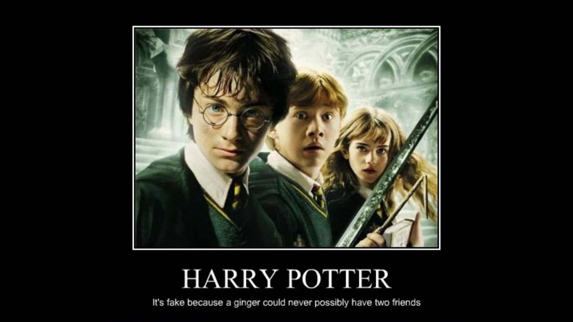 Livet af en Hogwarts-elev er ikke altid alvorligt. Wallpaper