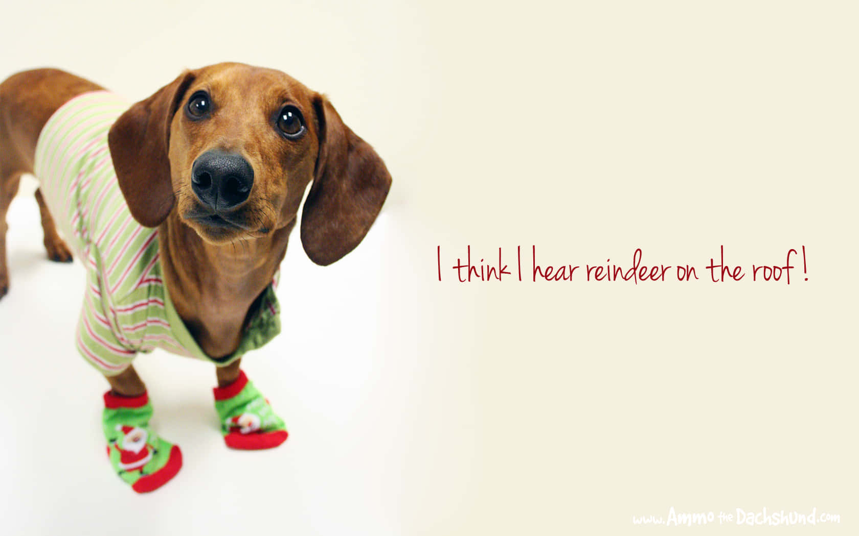 Have a Laugh with this Fun Holiday Desktop Wallpaper