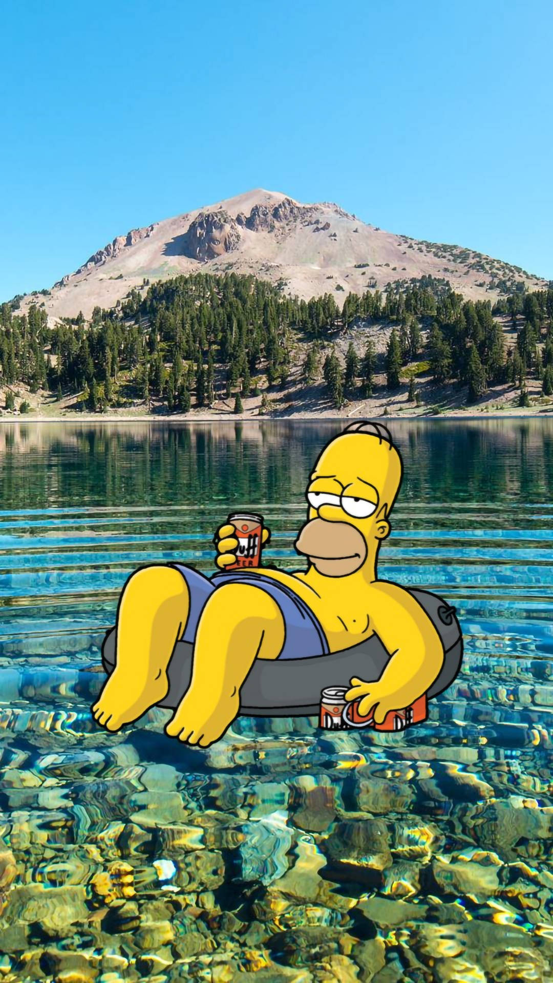 Funny Homer On Aesthetic Lake Wallpaper