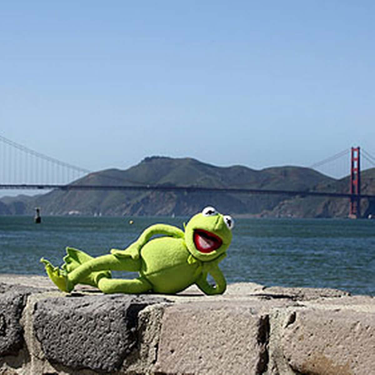 Sjov Kermit Golden Gate Bridge Billede Tapet