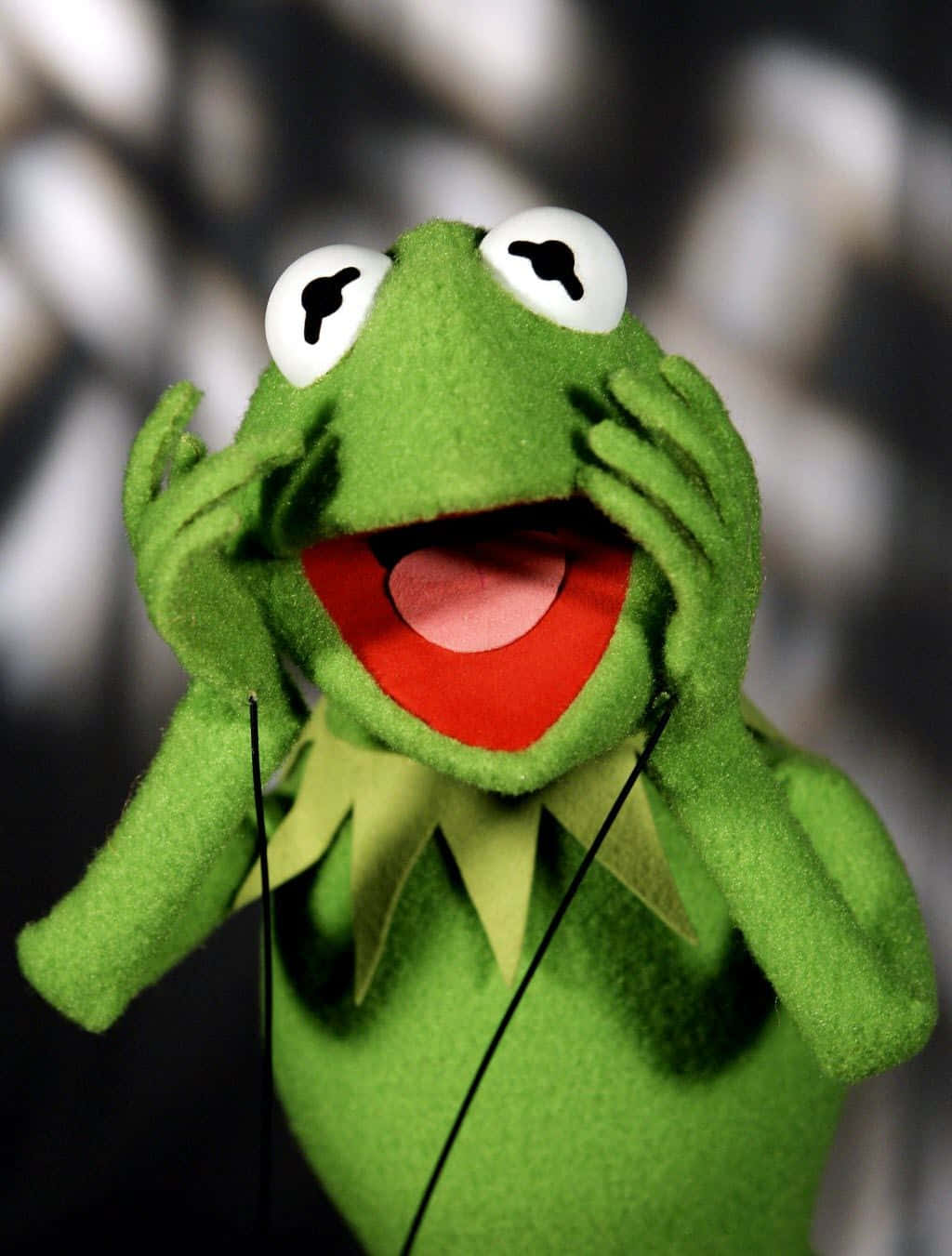 Funny Kermit With Headset Picture