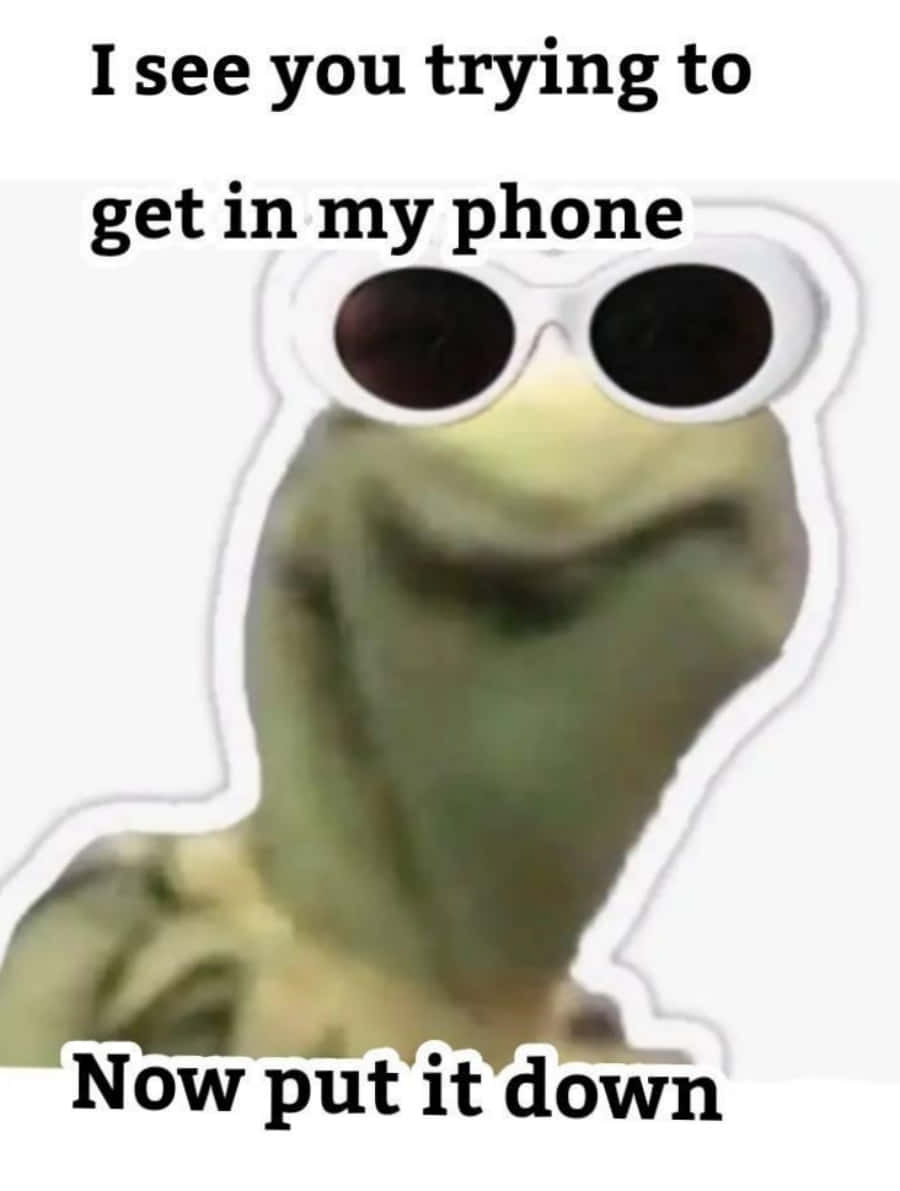 Funny Kermit Wearing Sunglasses Picture