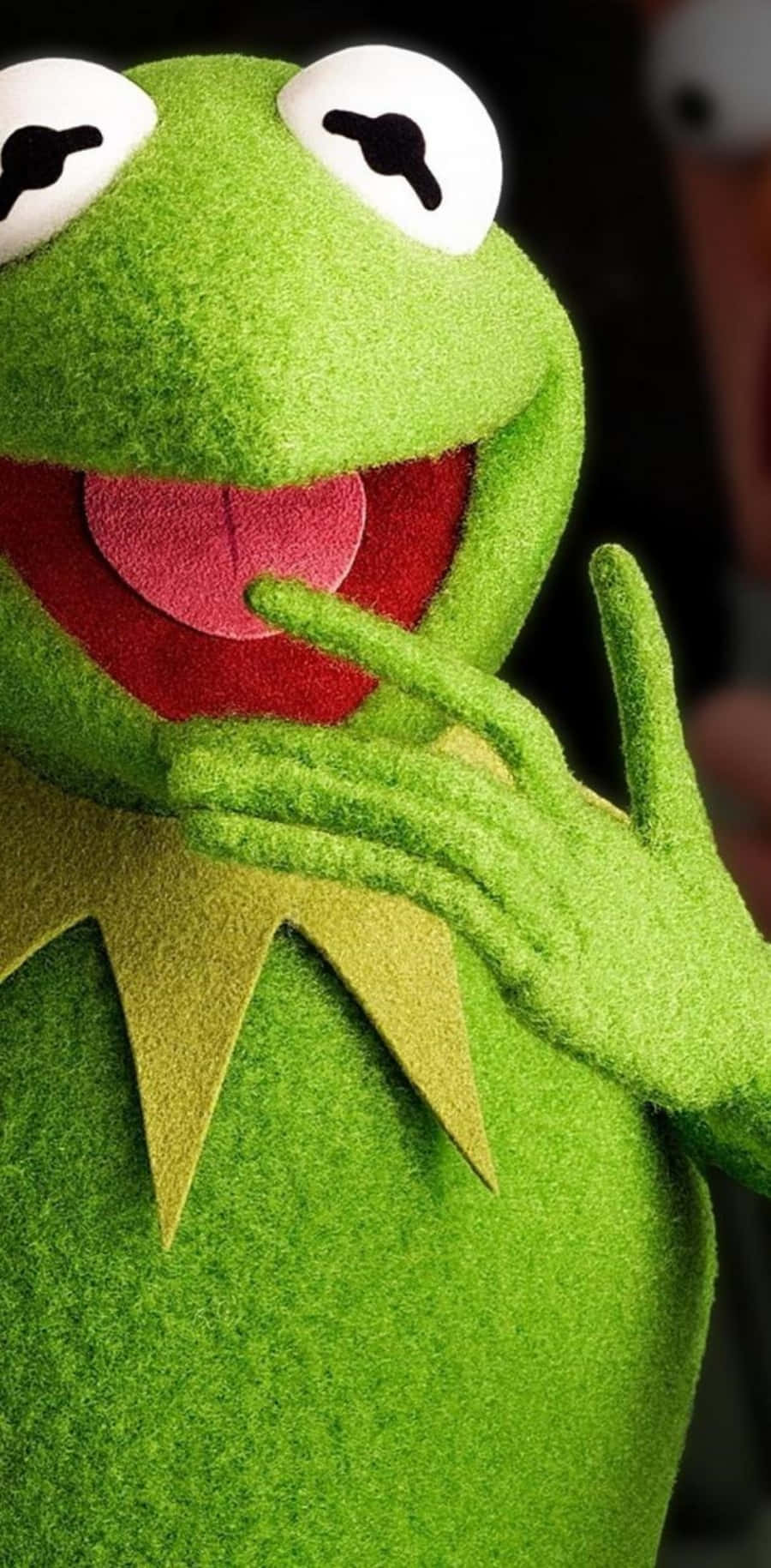 Funny Kermit With A Big Smile Picture