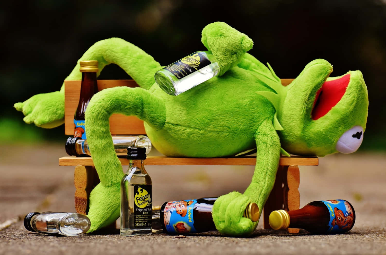 Drunk Funny Kermit Lying Picture