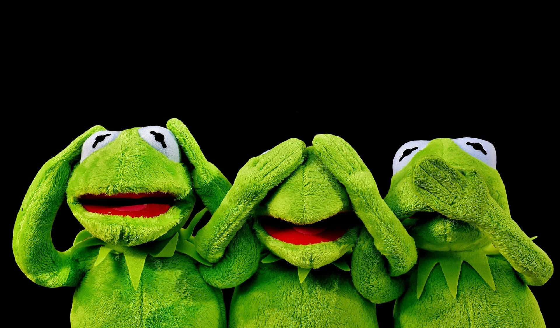 Divertidaimagen De Ranas Kermit Con Un Entorno Oscuro