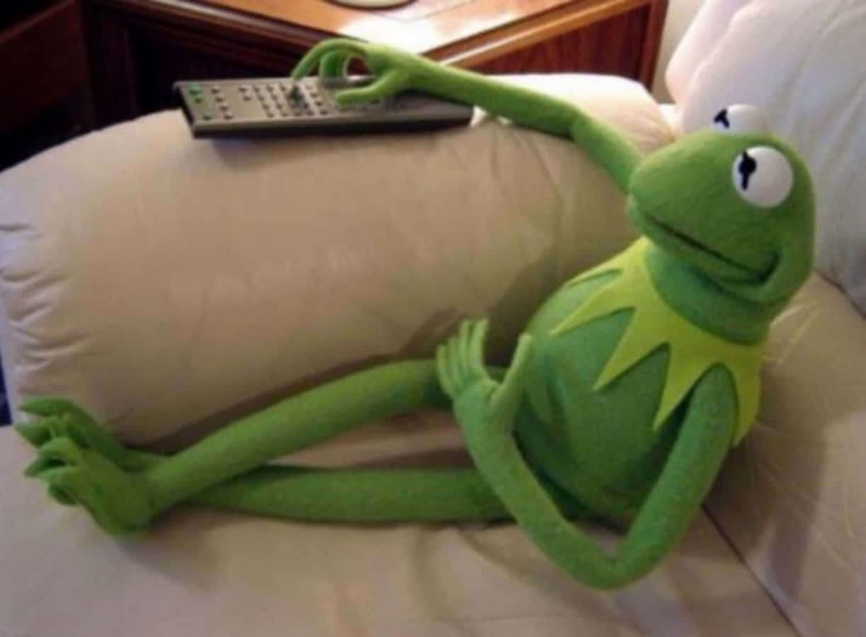 Funny Kermit Sitting On The Couch Picture