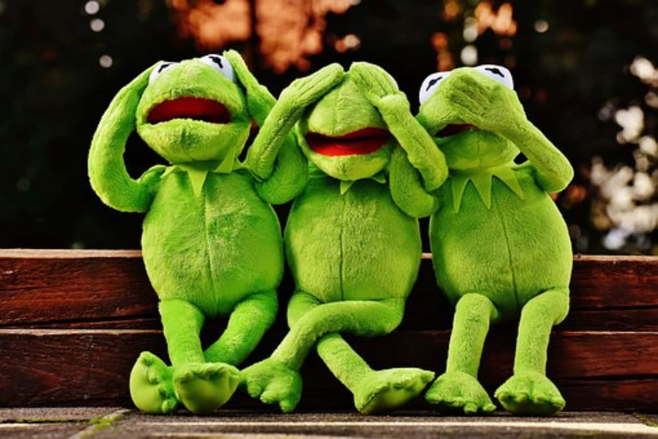 Tre siddende sjove Kermit Muppets billede tegneserie tapet.