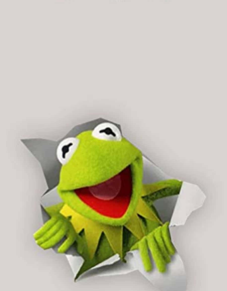 Funny Kermit Showing From Paper Hole Picture