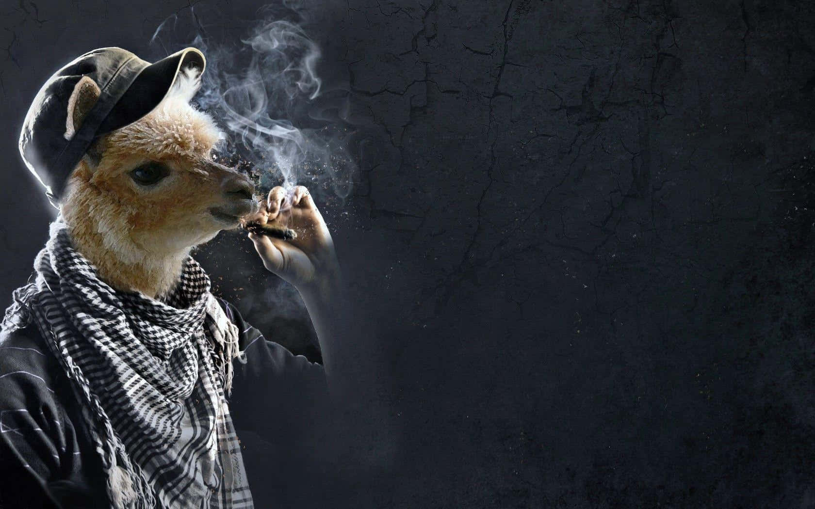 Gangster Funny Llama Smoking Picture