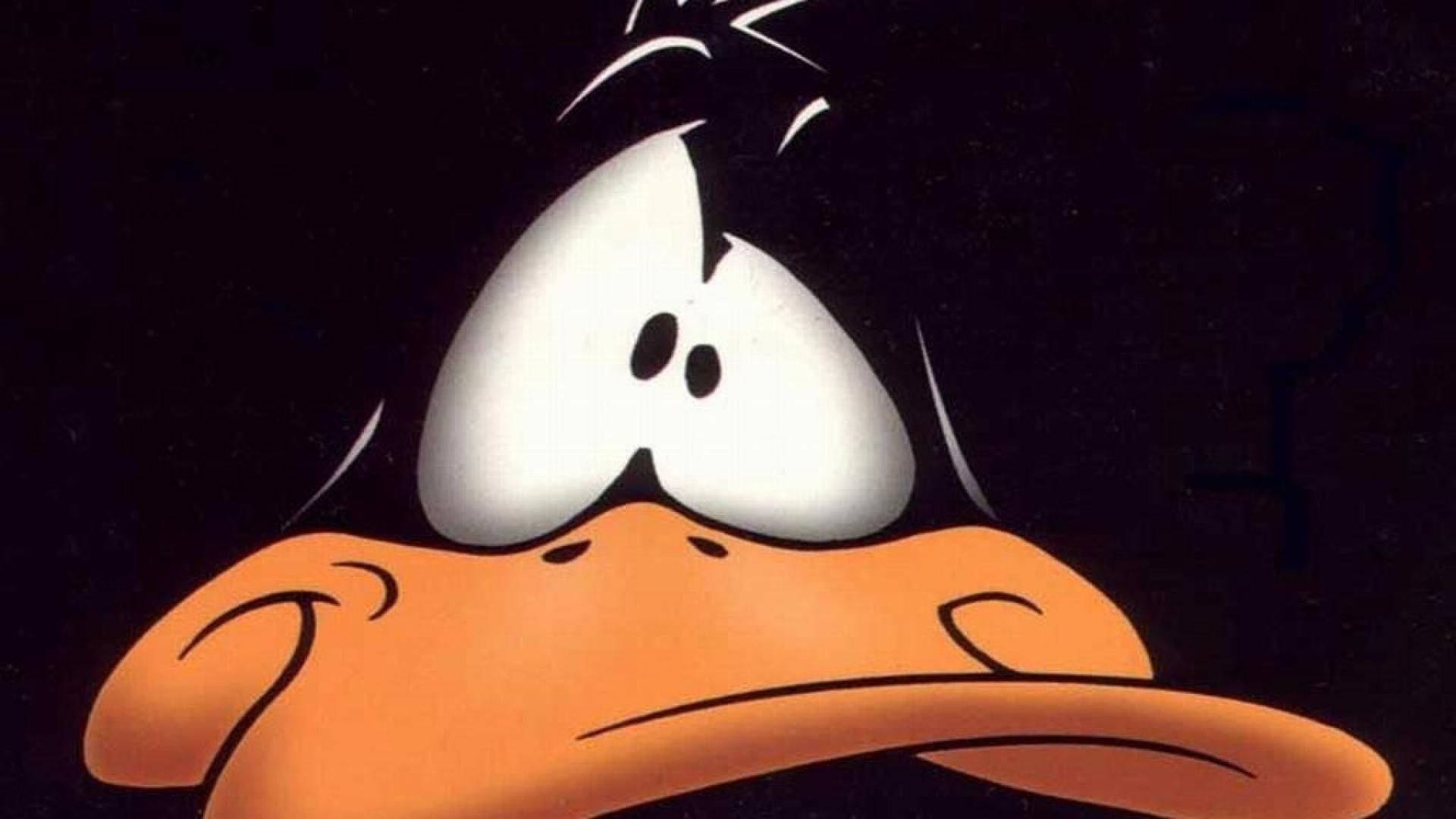 Funny Look Of Daffy Duck
