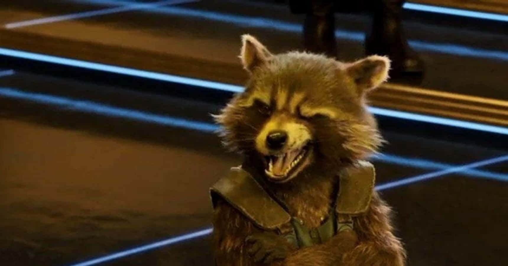 Funny Marvel Angry Rocket Raccoon Guardians Of The Galaxy Picture