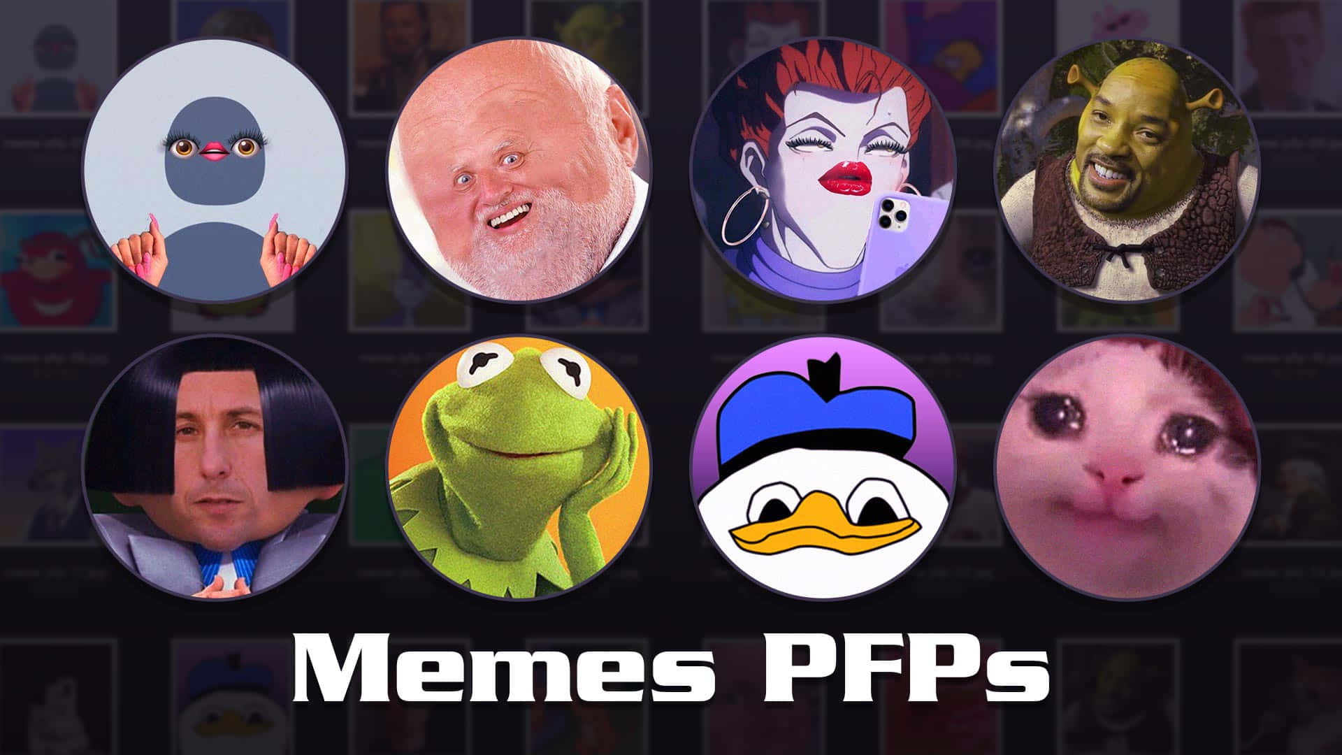 Download The power of funny meme profile pictures