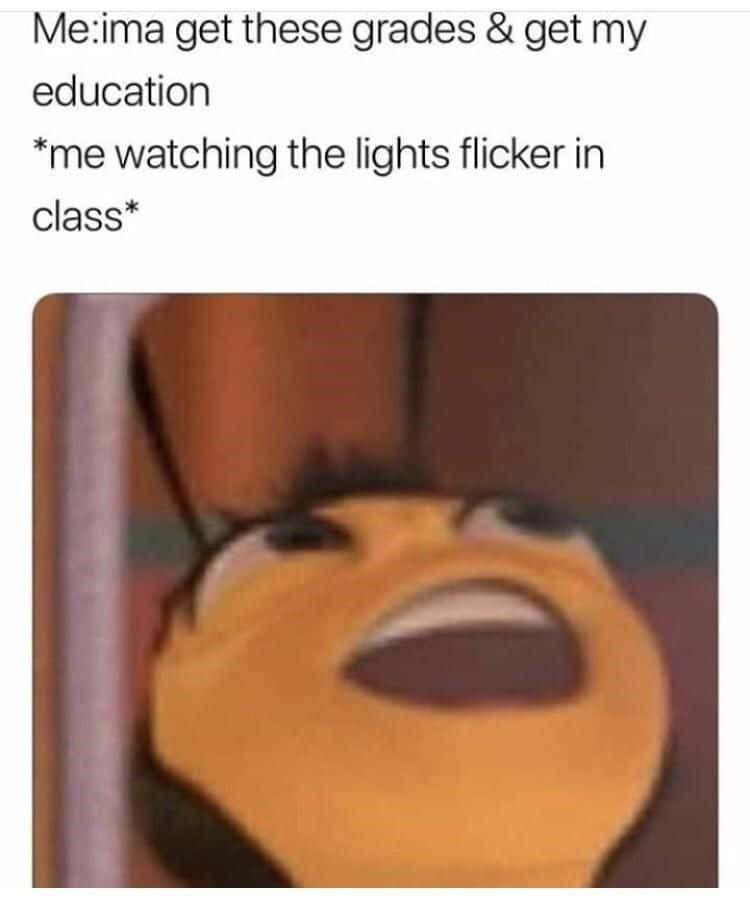Funny Memes School Bee Movie Pictures