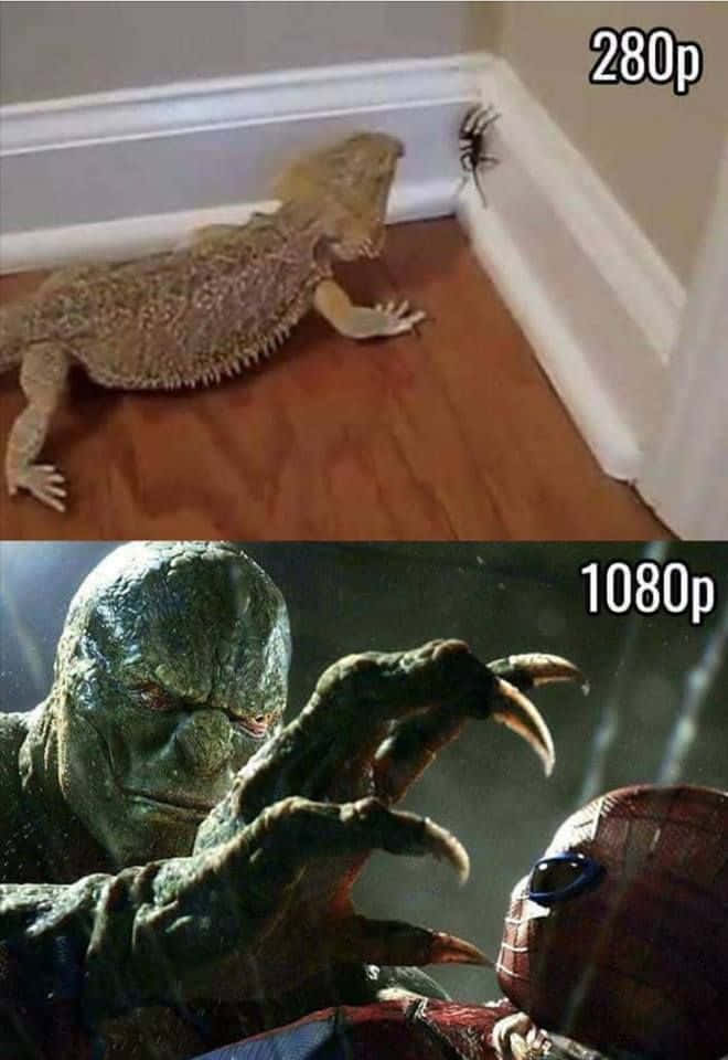 Funny Memes Lizard And Spider-man Pictures