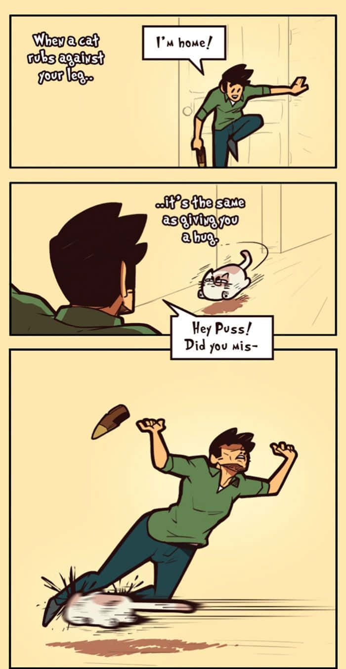 Funny Memes Cat Peter Pan Comic Pictures