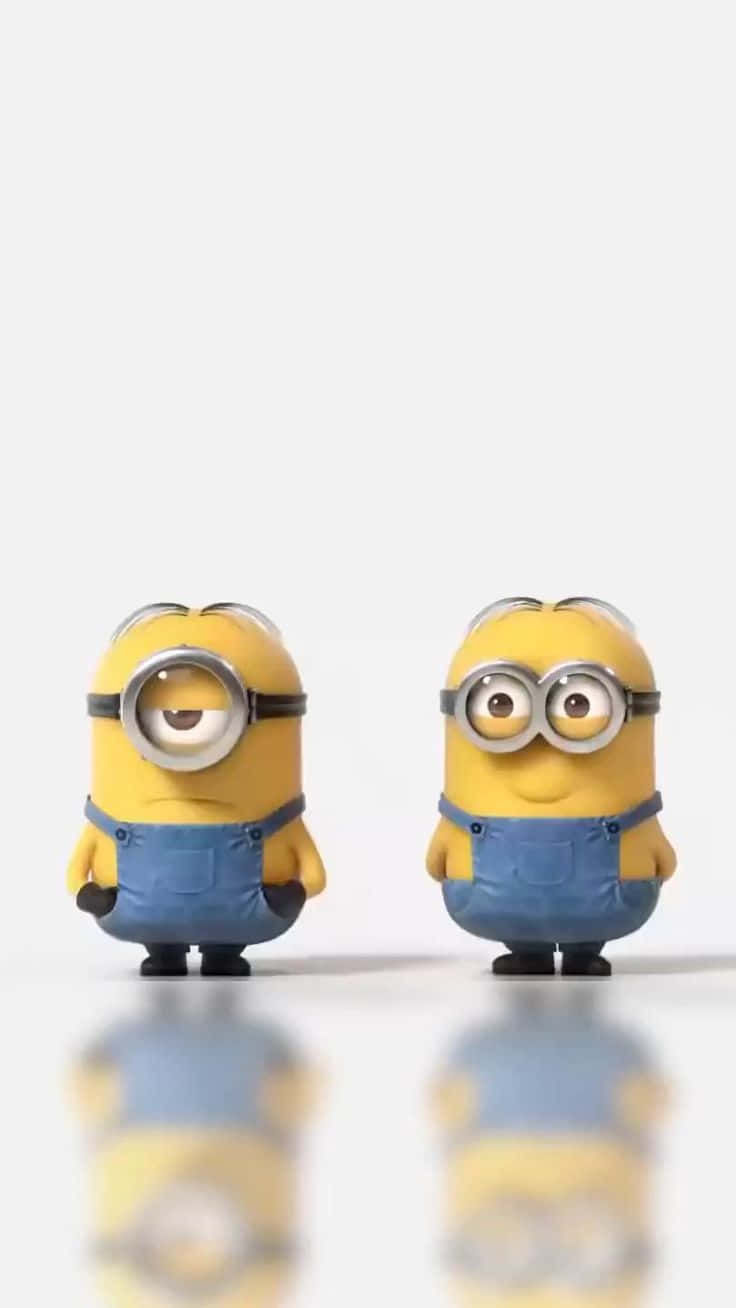 Dave And Lance Funny Minion Pictures