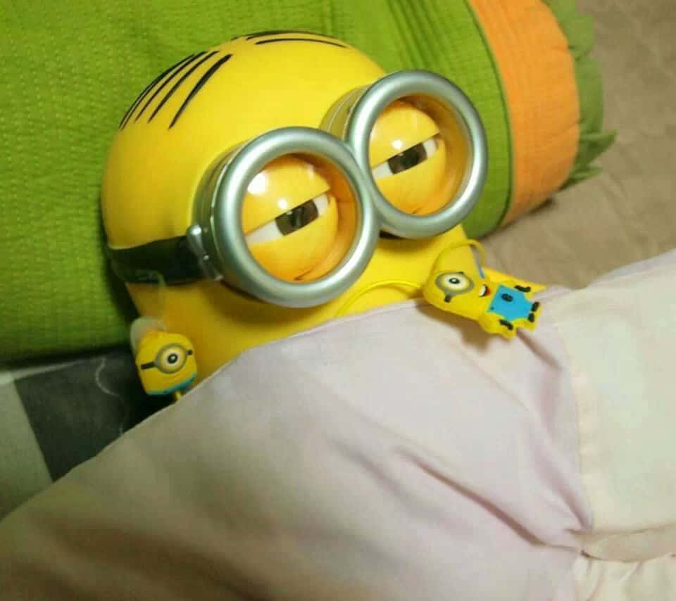 Dave The Funny Minion Pictures