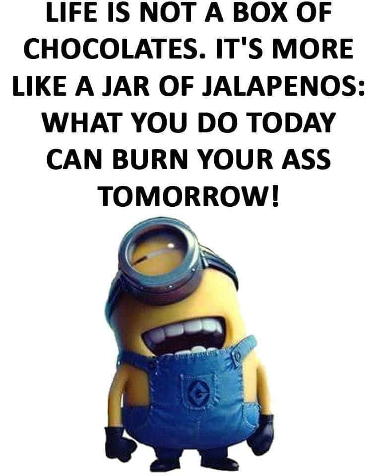 Funny Minion Life Quotes Pictures