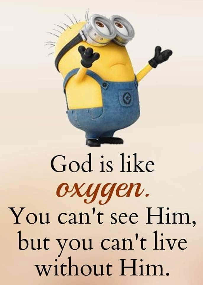 Download Funny Minion Quotes Saying Pictures 