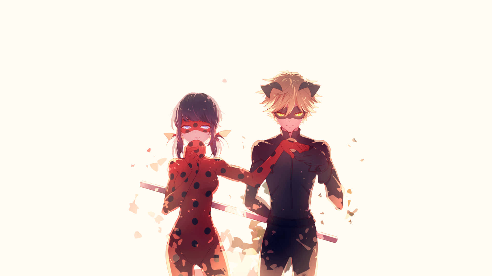 Funny Miraculous Ladybug Cat Noir Anime Aesthetic Picture