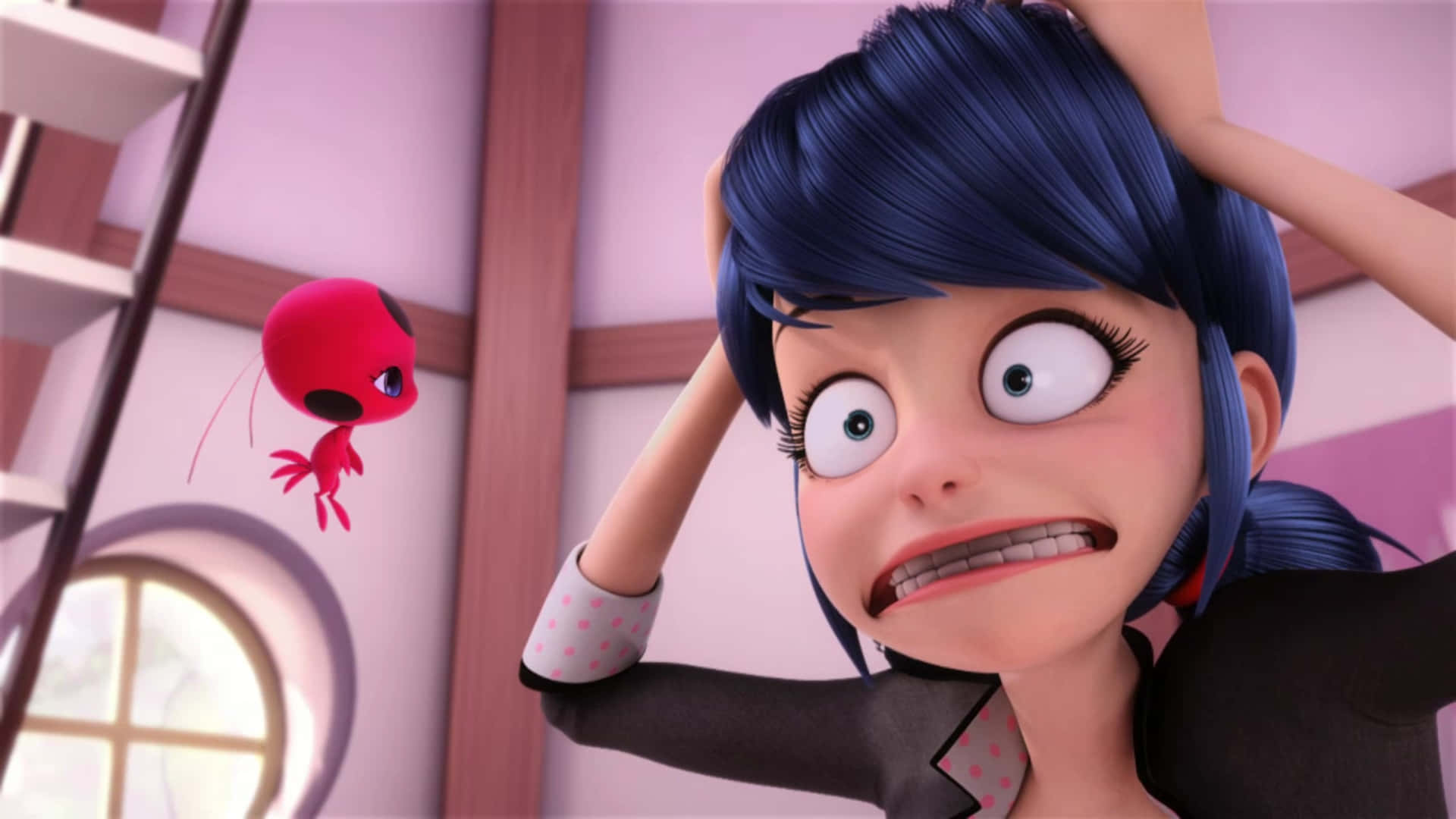 Funny Miraculous Ladybug Pictures
