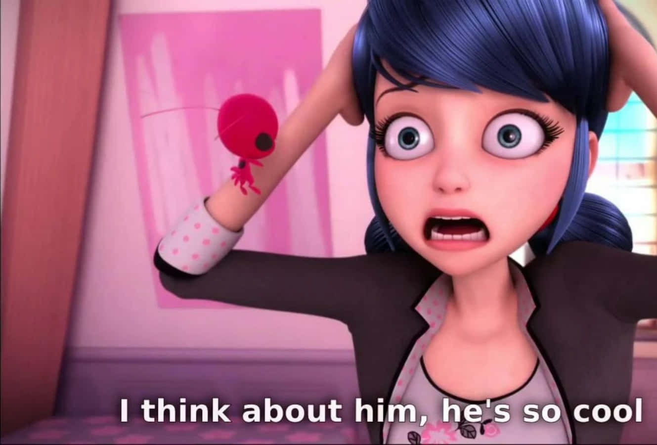 Catch All the Fun of Miraculous