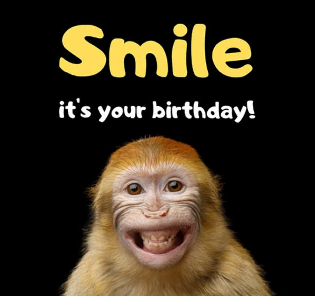 Funny Monkey Birthday Picture
