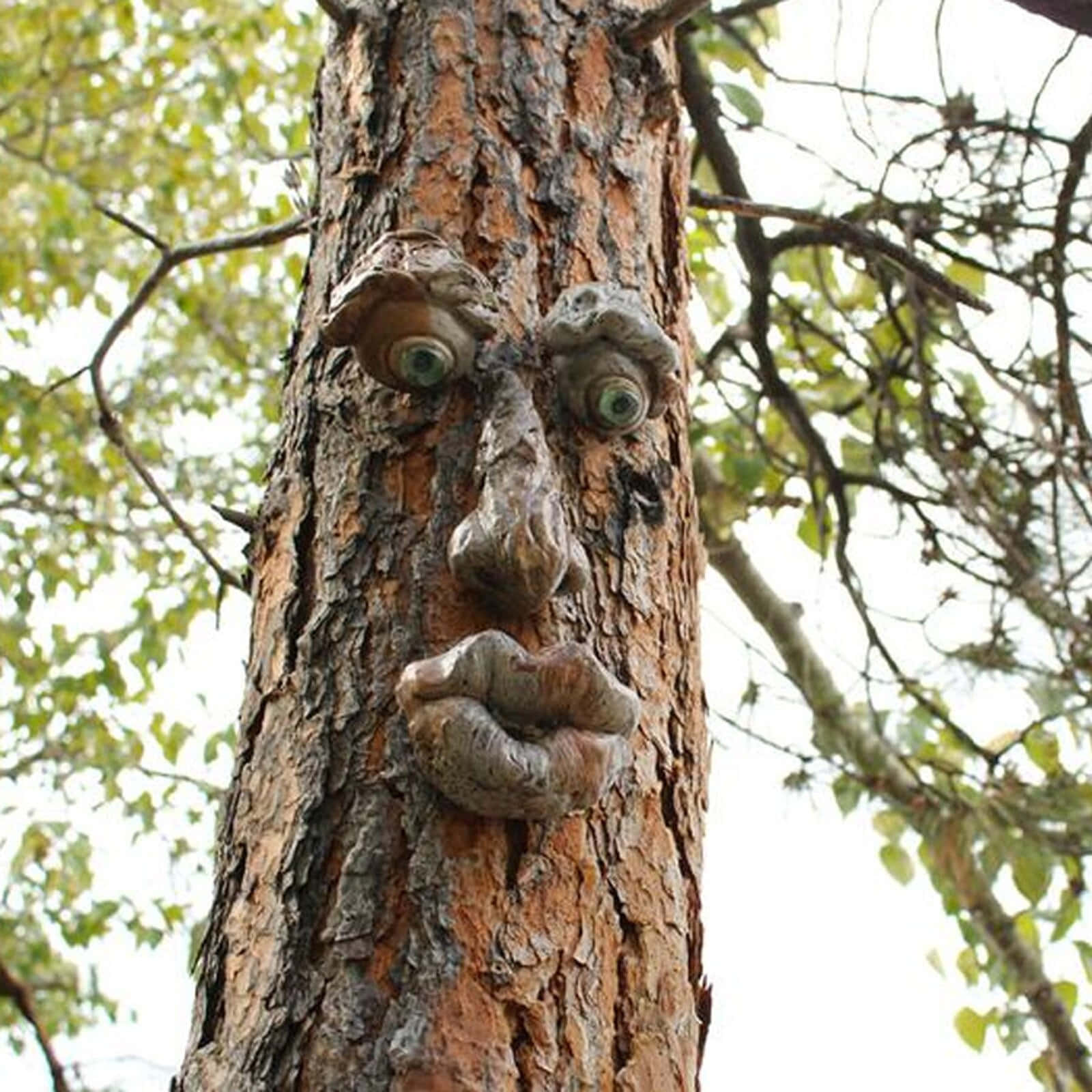 Et træstamme med et ansigt på det.