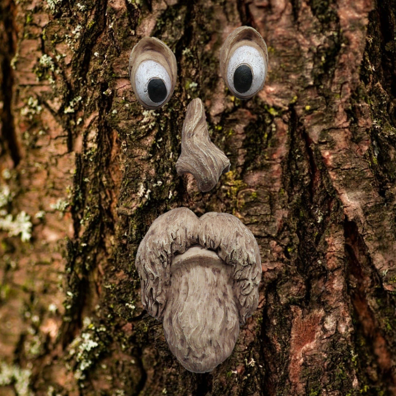 A Tree With A Face On It