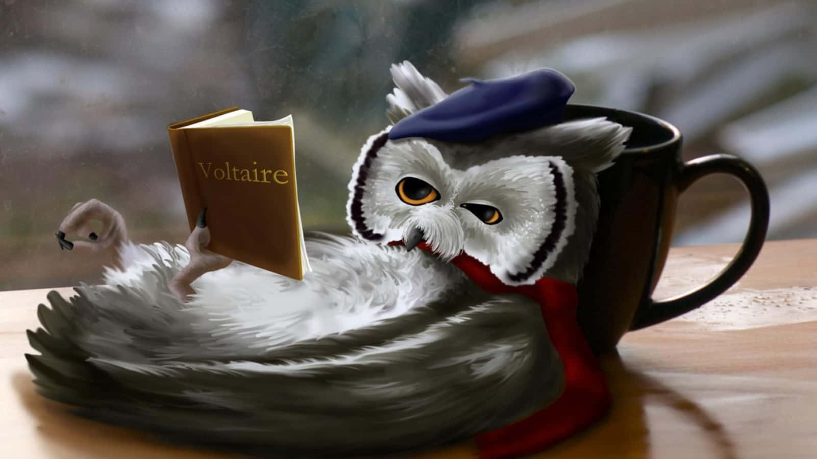 Funny Owl Painting Reading Book On Coffee Cup Picture