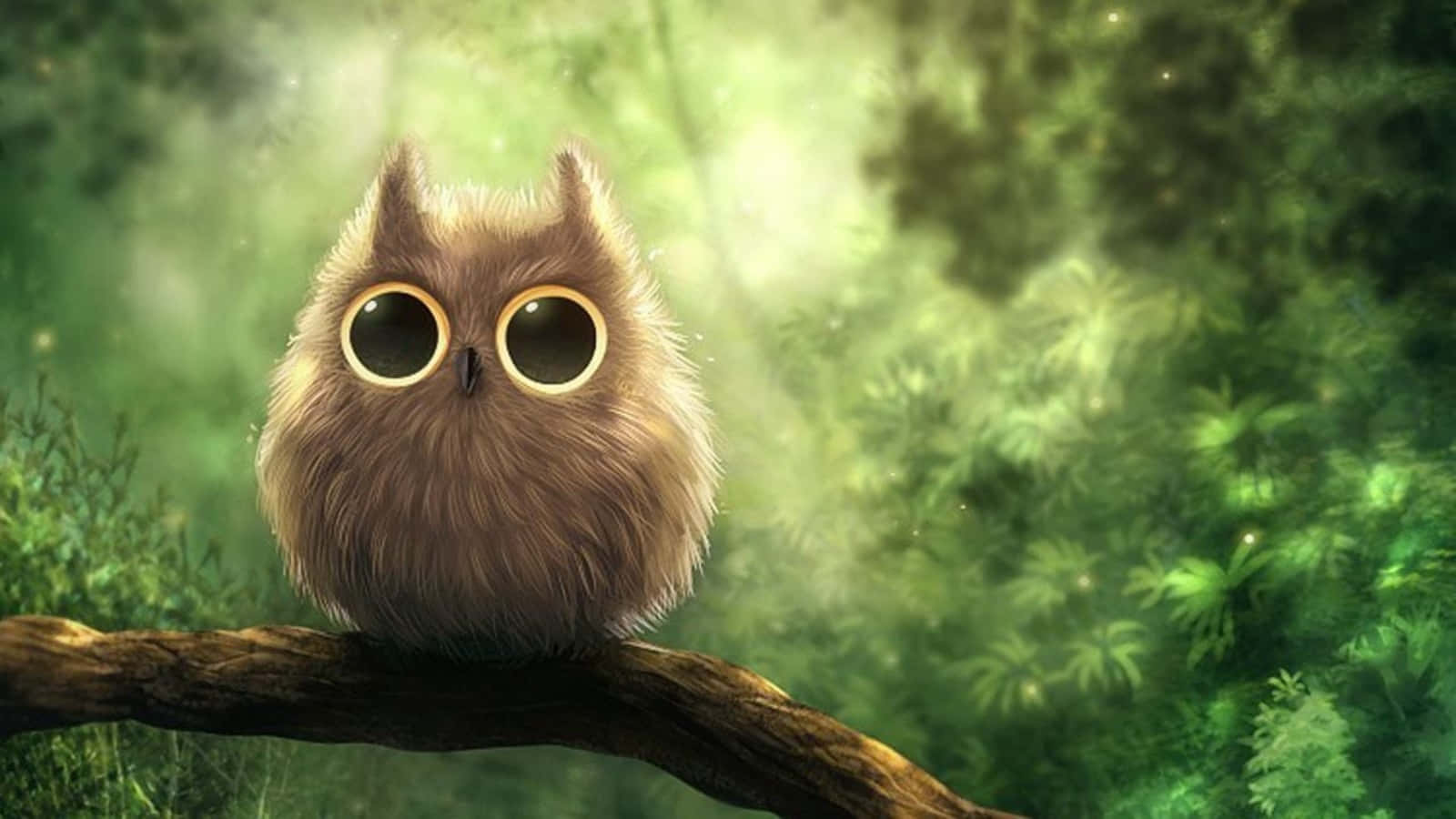 Funny Owl Cartoon In Forest Picture