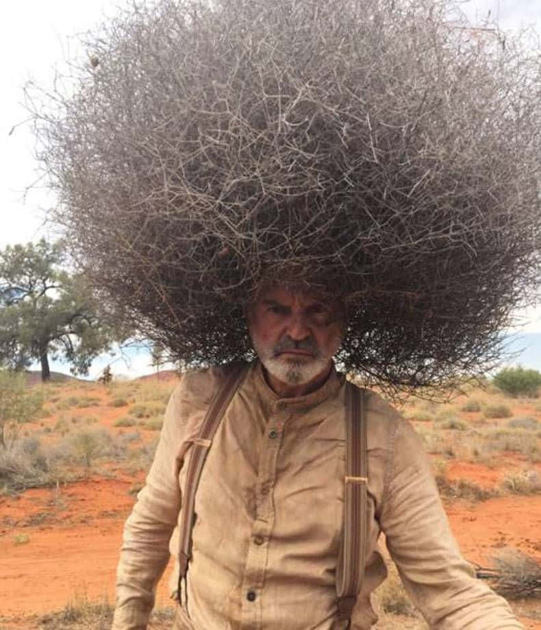 Funny People Tumbleweed Afro Hair Pictures