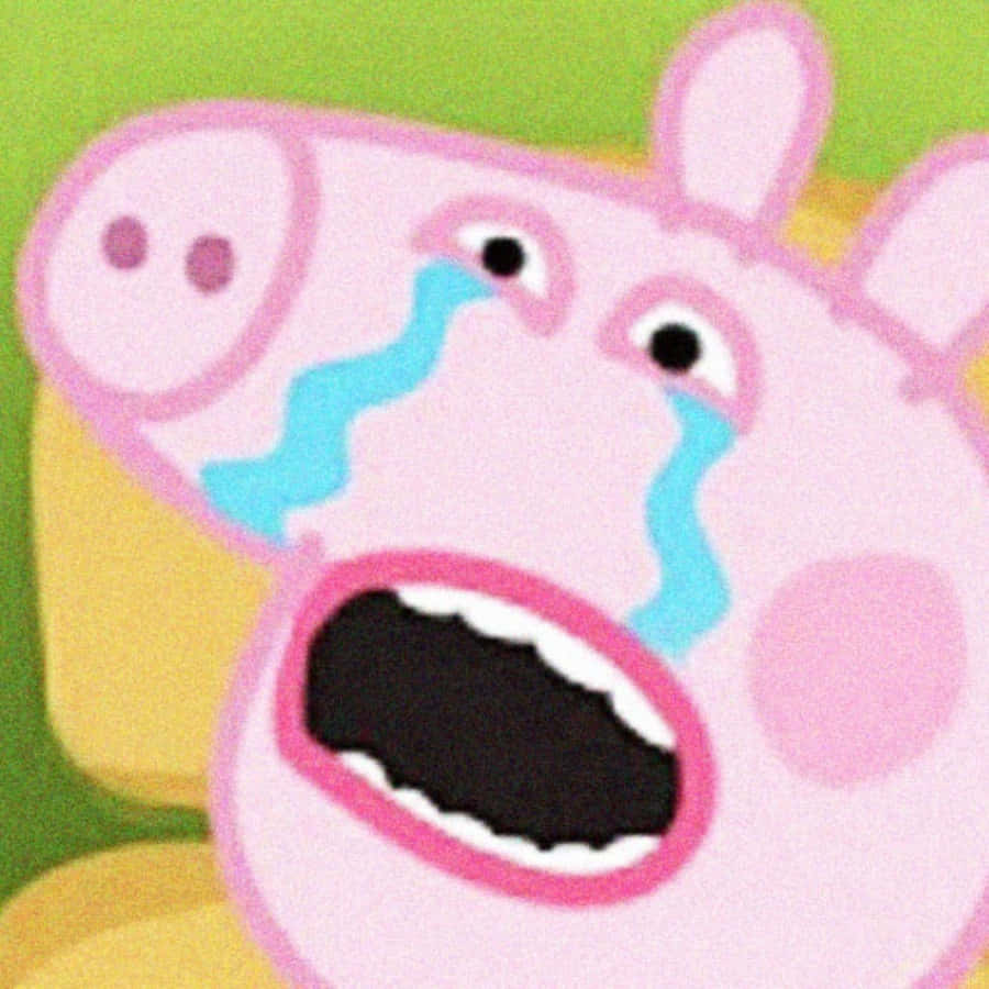 Funny Peppa Pig Crying Picture