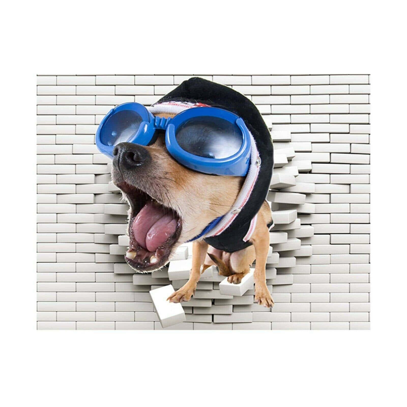 A Dog Wearing Goggles And A Helmet