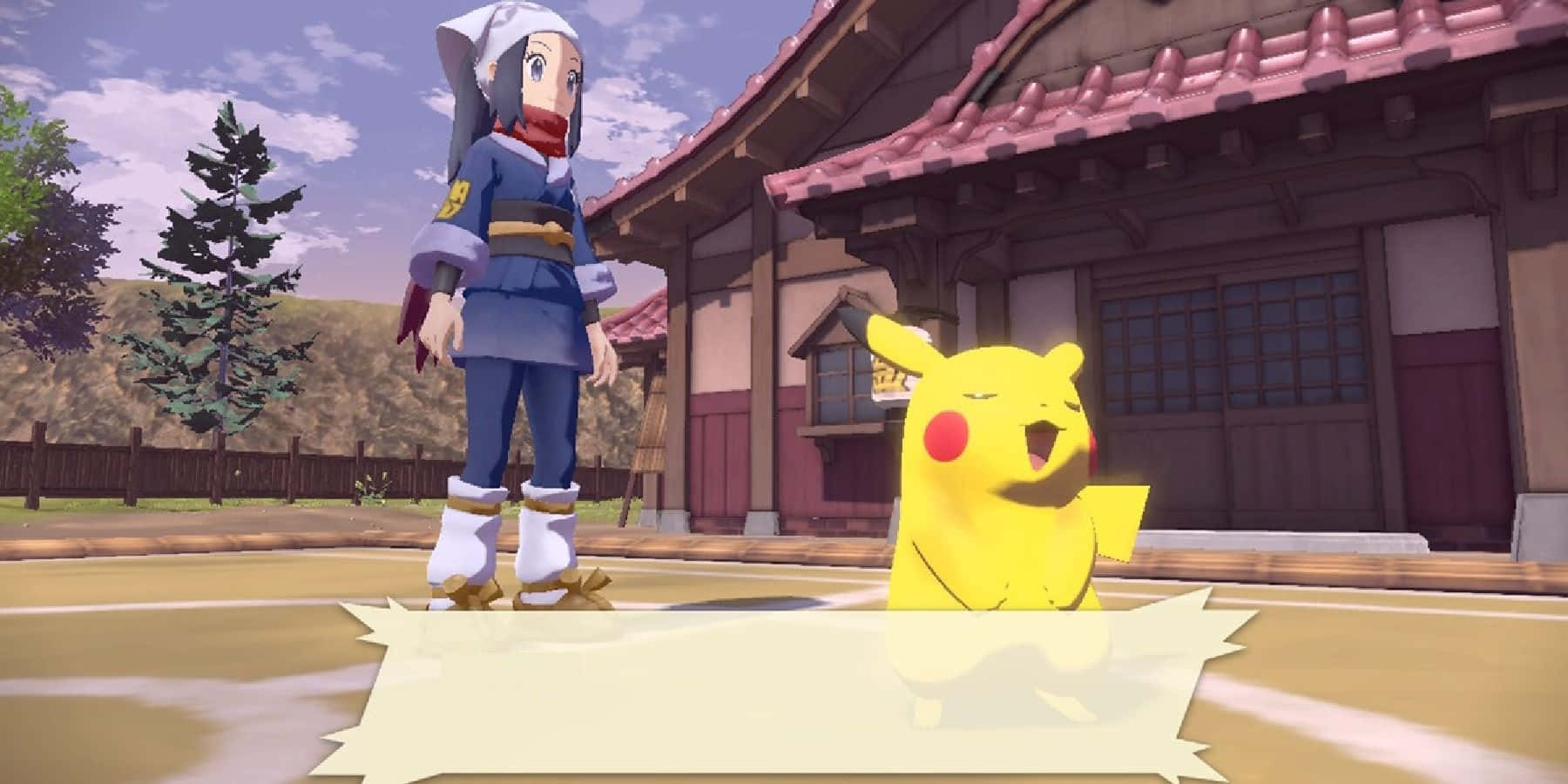 Funny Pokemon Akari And Pikachu Picture