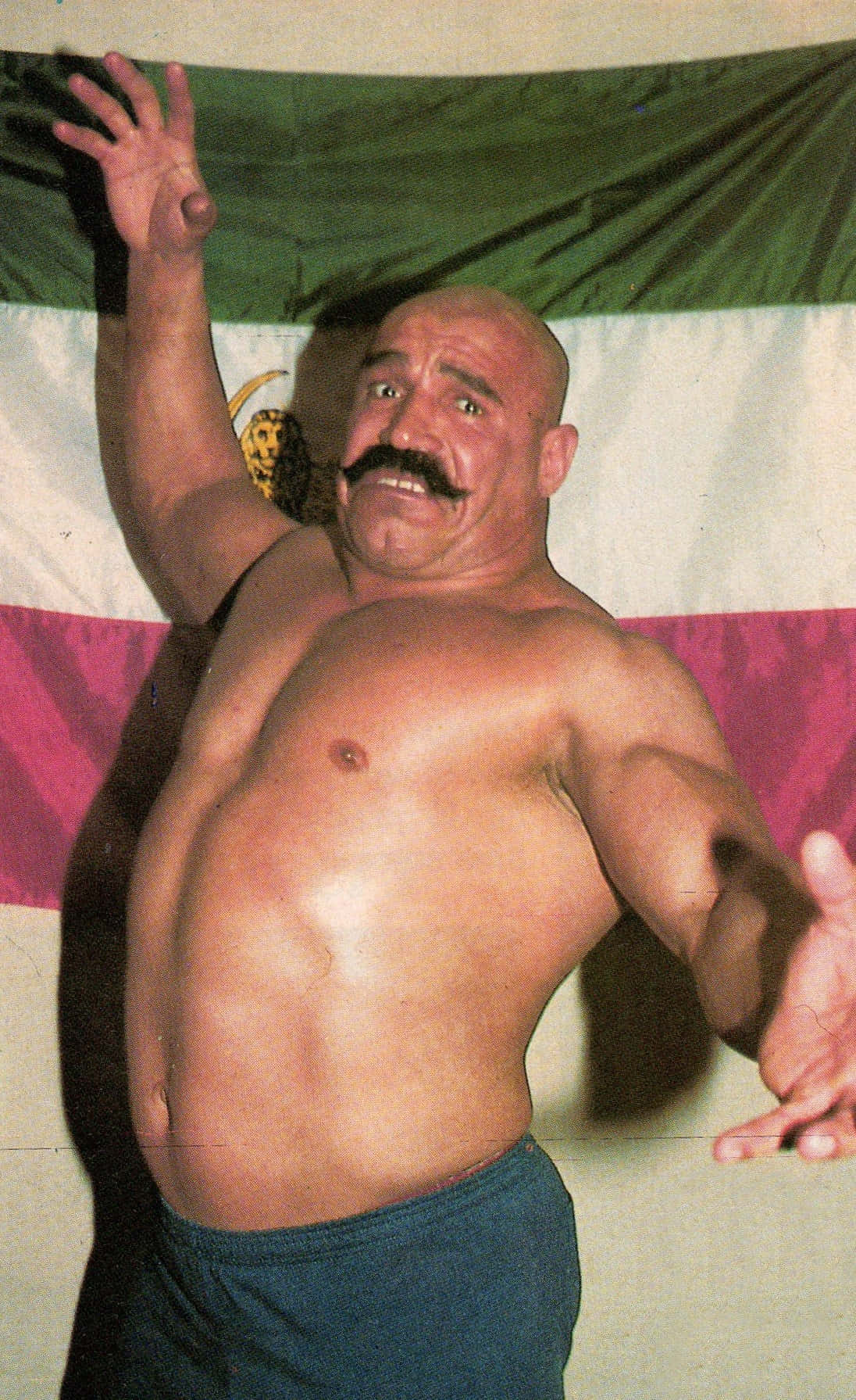 Funny Pose The Iron Sheik Picture