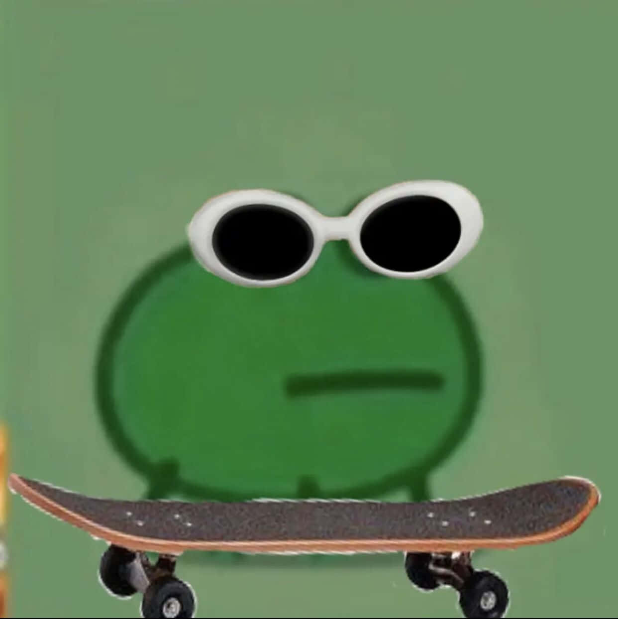 Skater Frog Funny Profile Picture 1242 x 1244 Picture