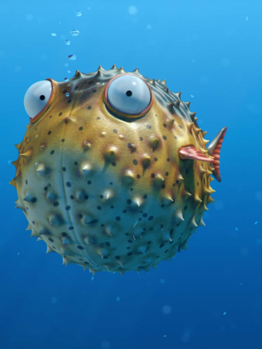 Funny Puffer Fish Picture