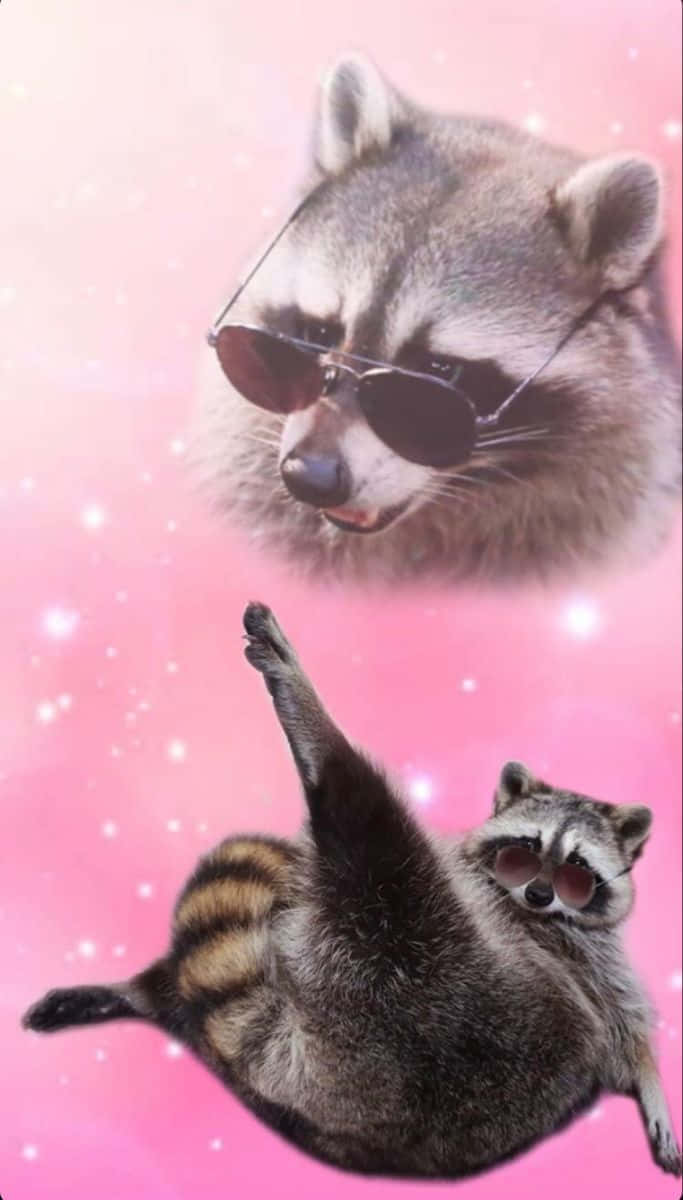 Funny Raccoon Rizz Sexy Pose Picture