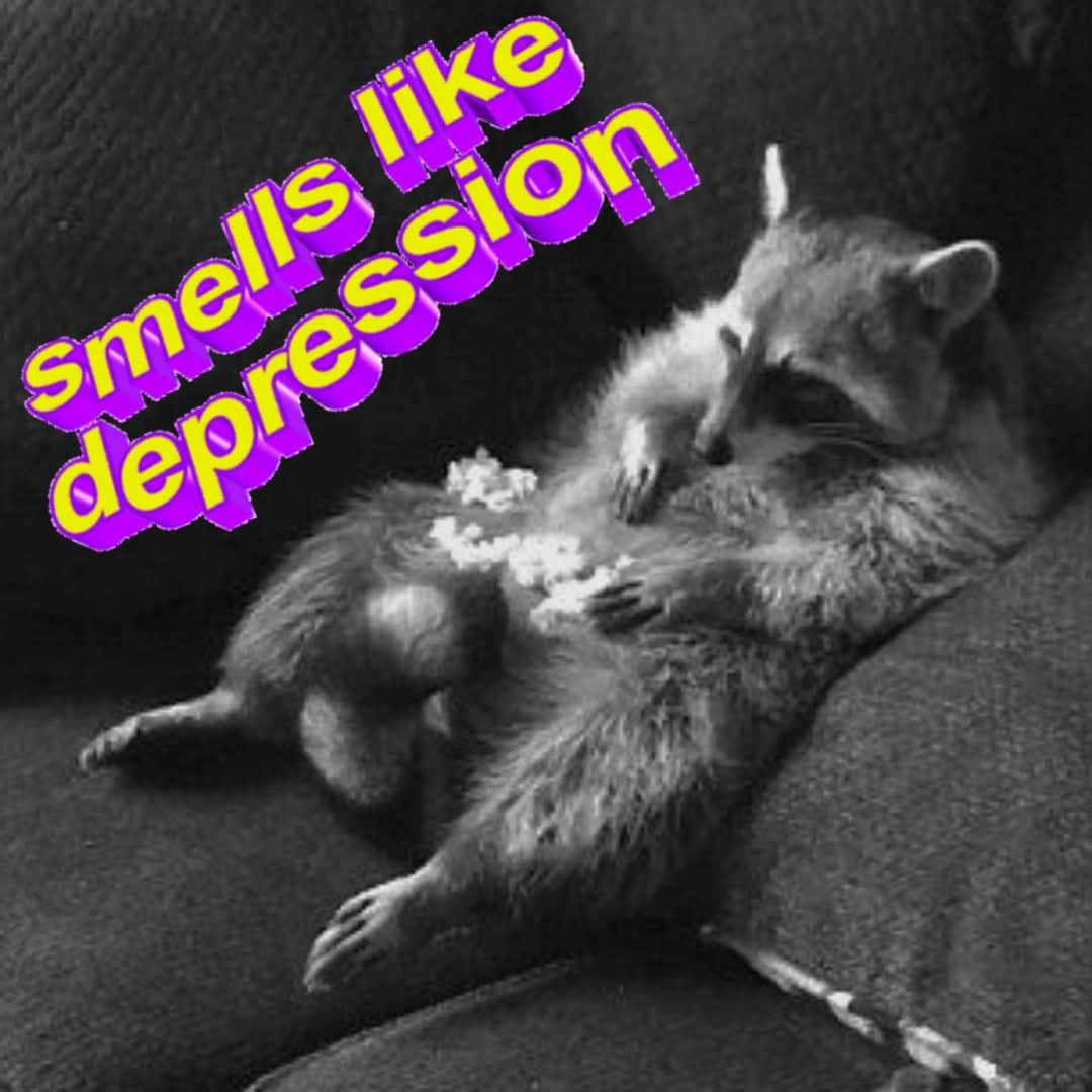 Funny Raccoon Smells Like Depression Meme Picture