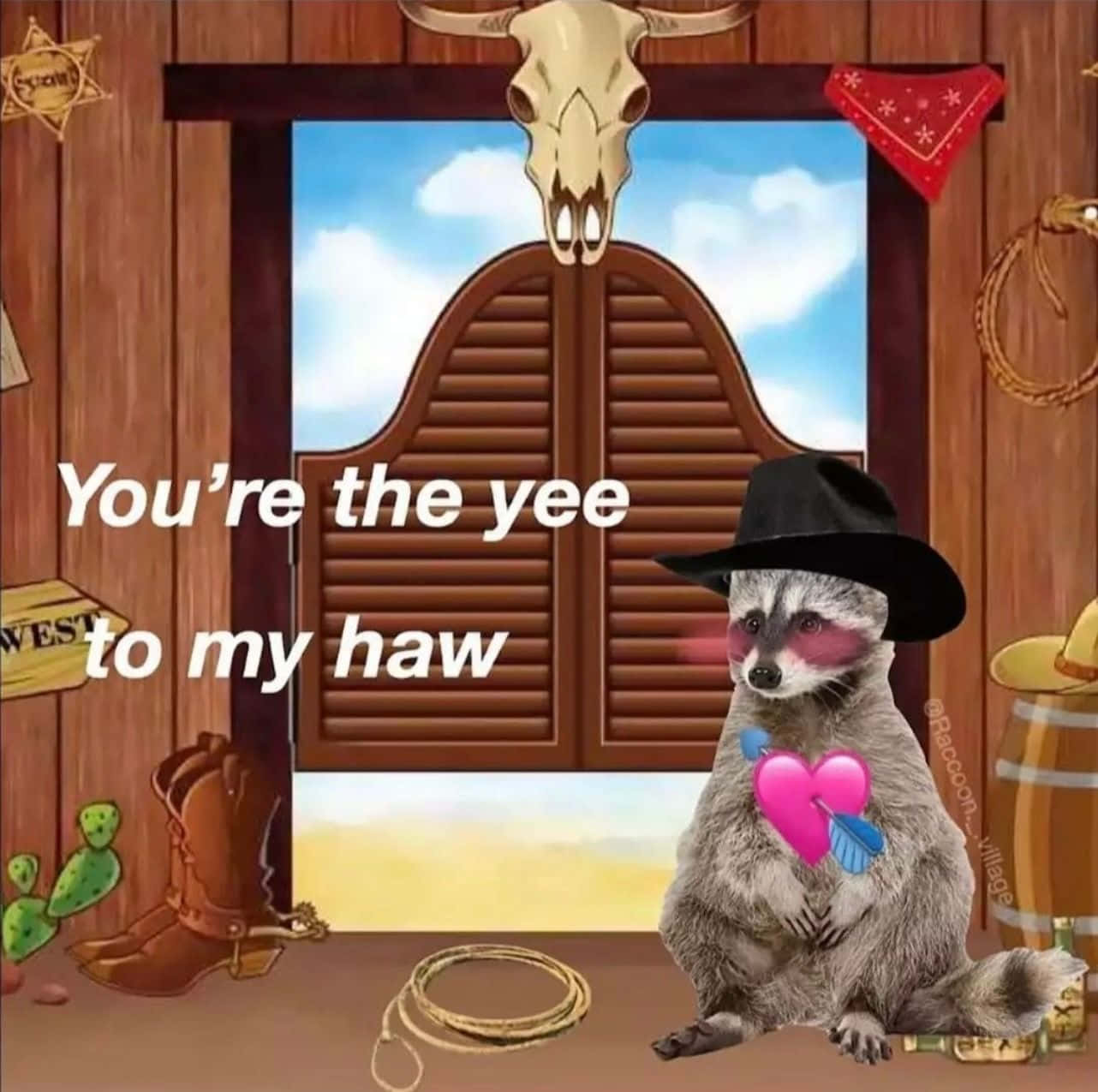 Sjove Raccoon Cowboy Yee Haw Meme Billeder
